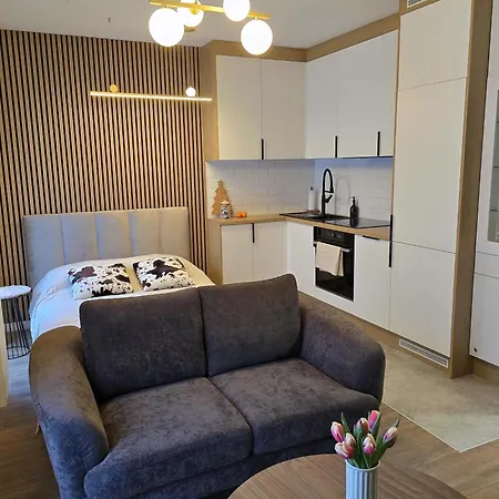 Apartamento Modern Szalasa *