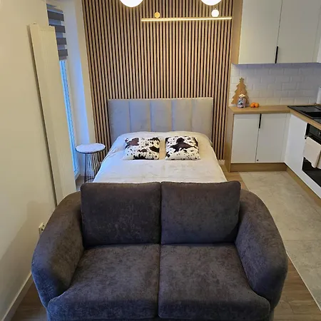 Apartamento Modern Szalasa *