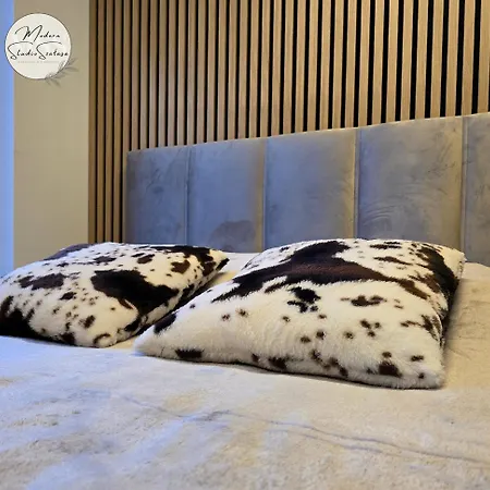 Modern Szalasa Apartment