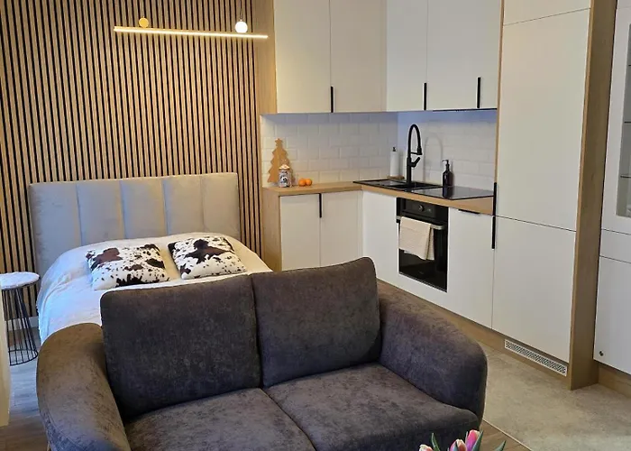 Διαμέρισμα Modern Szalasa *