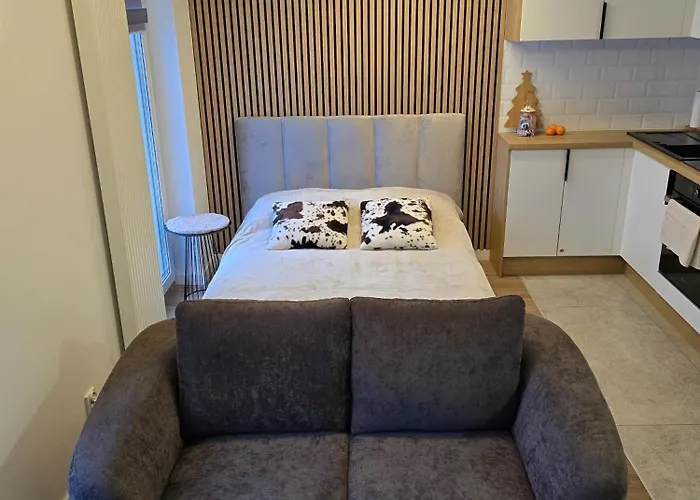 Apartament Modern Szałasa *