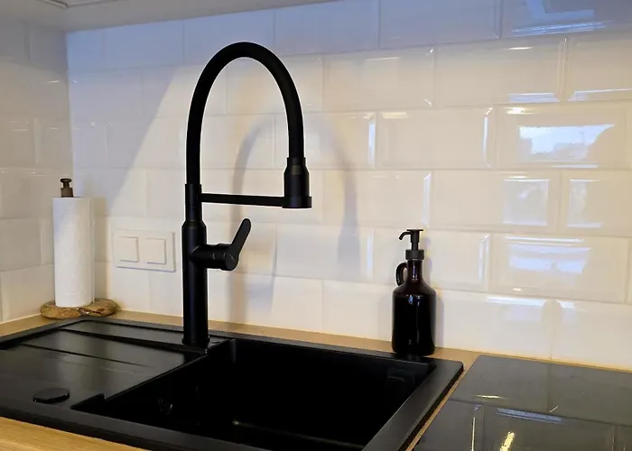 Apartament Modern Szałasa *