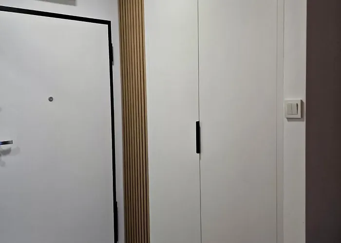 Apartament Modern Szałasa *